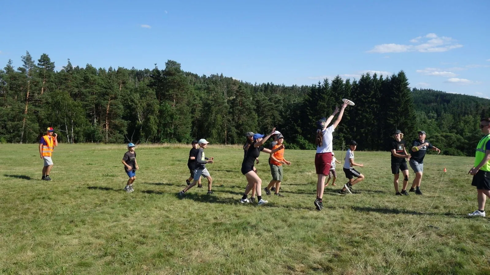Frisbee na louce